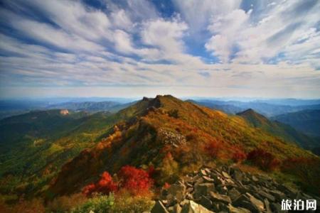 喇叭沟原始森林公园旅游攻略-门票价格-景点信息