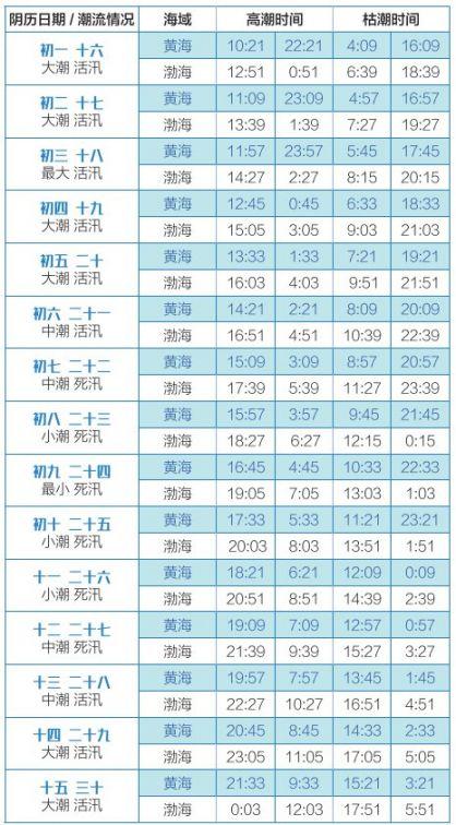 大连赶海地点和最佳赶海时间