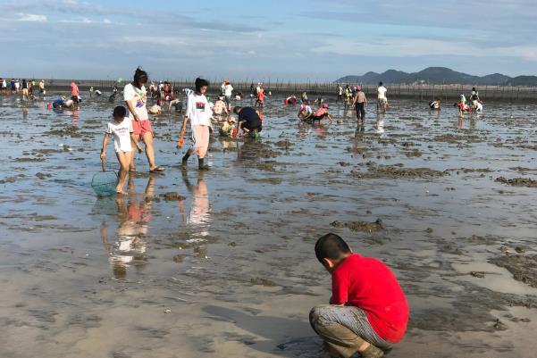 大连赶海地点和最佳赶海时间