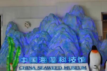青岛明月海藻世界游玩攻略-门票价格-景点信息