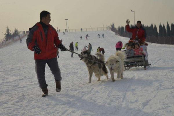 济南香草园滑雪场游玩攻略-门票价格-景点信息