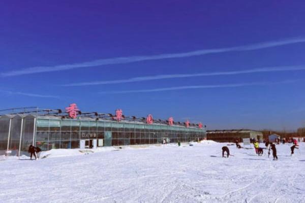 济南香草园滑雪场游玩攻略-门票价格-景点信息