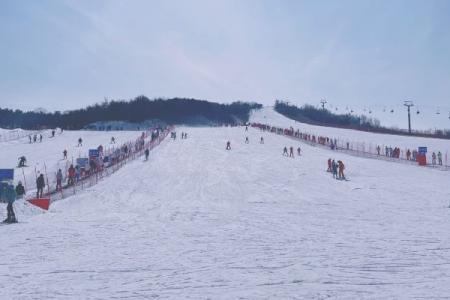 青岛藏马山滑雪场游玩攻略-门票价格-景点信息