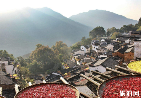 江西婺源旅游最佳时间 去婺源旅游要多少钱