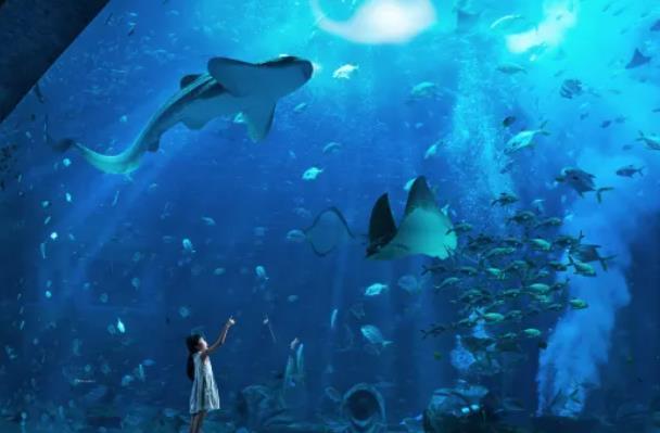 2024三亚亚特兰蒂斯水族馆营业时间