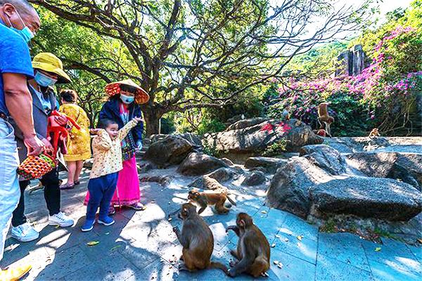 2024陵水猴島公園門票優惠政策