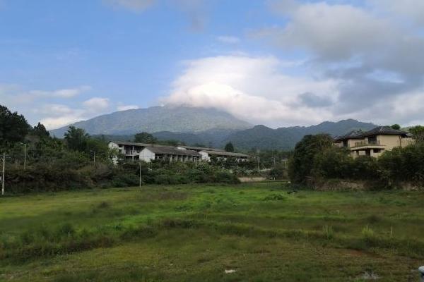 五指山热带雨林游玩攻略-门票价格-景点信息