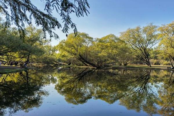 上海共青國家森林公園旅游攻略-門票價格-景點信息