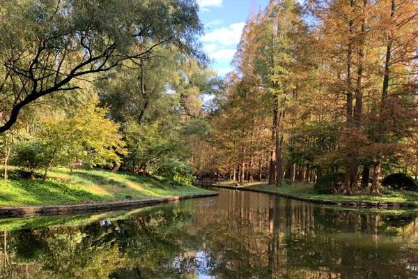 上海共青國家森林公園旅游攻略-門票價格-景點信息