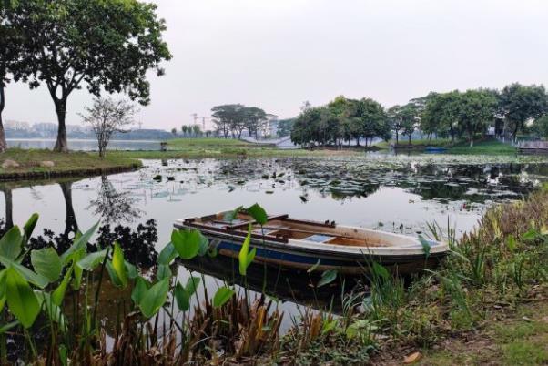 廣州小眾免費的公園有哪些地方