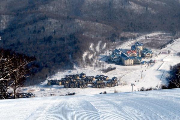 亚布力滑雪场门票价格2024