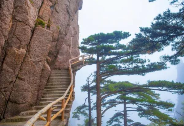 黄山西海大峡谷门票 黄山西海大峡谷开放时间