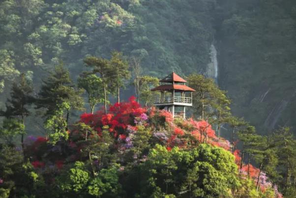 天峽風(fēng)景區(qū)門票多少錢2024