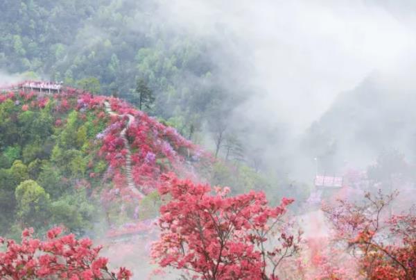 天峽風(fēng)景區(qū)門票多少錢2024