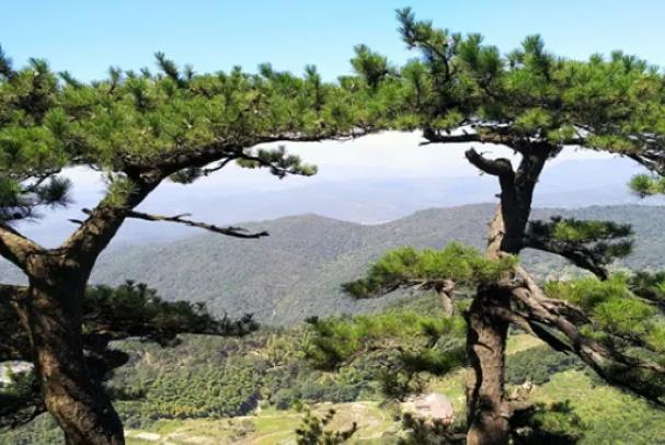 霍山铜锣寨风景区门票多少钱2024