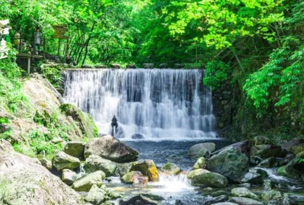 醉山野风景区门票价格2024