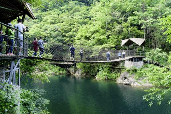 醉山野风景区门票价格2024