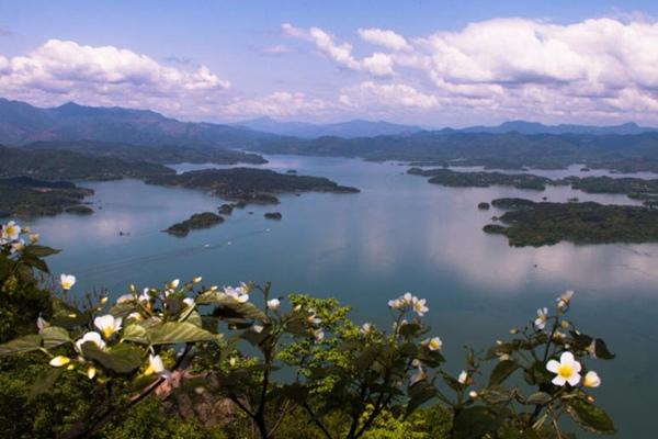 花亭湖风景区门票多少钱2024