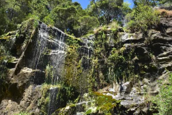 天脊山风景区门票多少钱2024