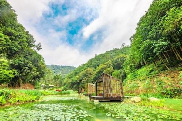 廣西高峰森林公園里面有什么好玩的地方