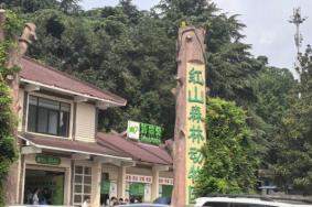 南京紅山森林動物園動物怎么認養