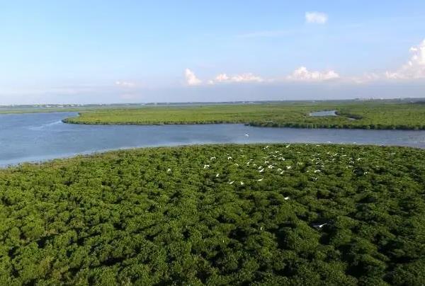 海口趕海去哪里比較好