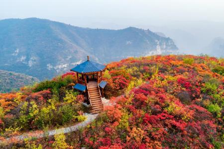 南阳必玩的旅游景点有哪些