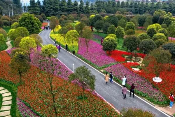 太寺埡森林公園門票多少錢