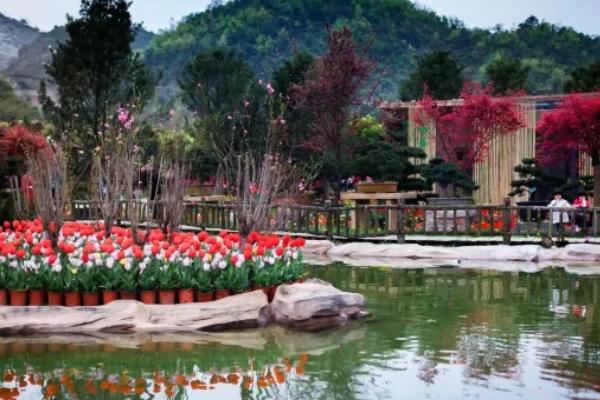 太寺埡森林公園門(mén)票優(yōu)惠政策