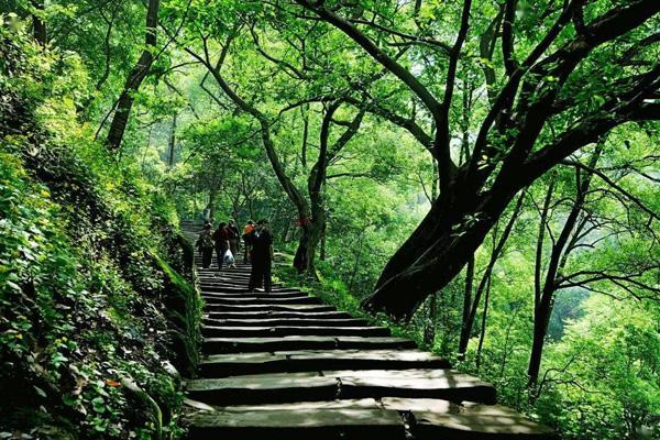 重慶周末爬山去哪里好玩