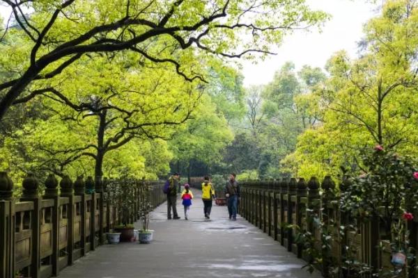 重慶南山植物園門票優惠政策