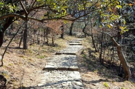 无锡徒步登山的地方 有哪些好去处