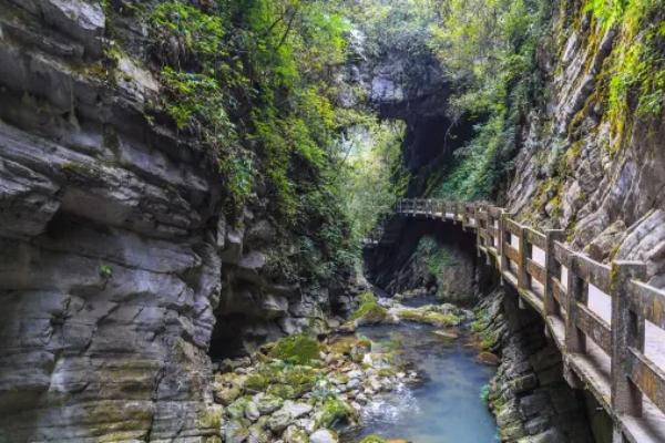 龙水峡地缝门票优惠政策