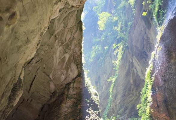 龙水峡地缝门票优惠政策