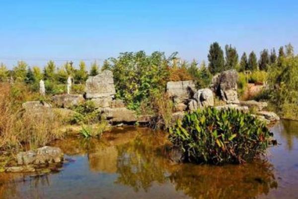 天漢濕地公園旅游攻略-門票價格-景點信息