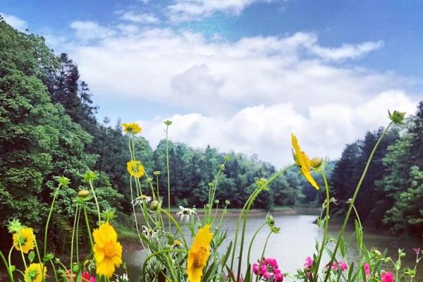 2024雨台山风景区门票多少钱