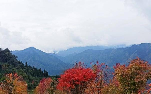 什邡红枫岭景区怎么去 红叶红了吗