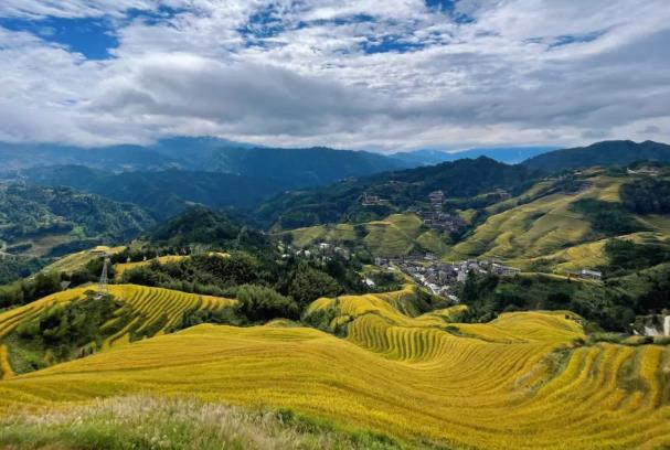 秋天適合去哪里旅游 現在去哪旅游最合適