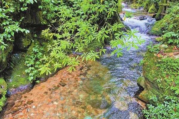 新平哀牢山风景区有哪些景点