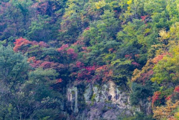 龙峪湾景区看红叶的地方在哪里