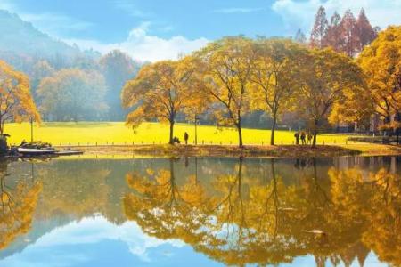 西湖秋天的景色有哪些 西湖秋季旅游攻略