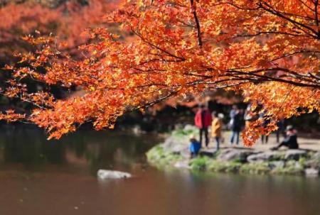 苏州天平山拍照打卡地点在哪里