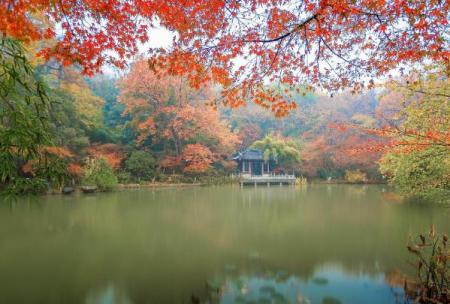 苏州天平山拍照打卡地点在哪里