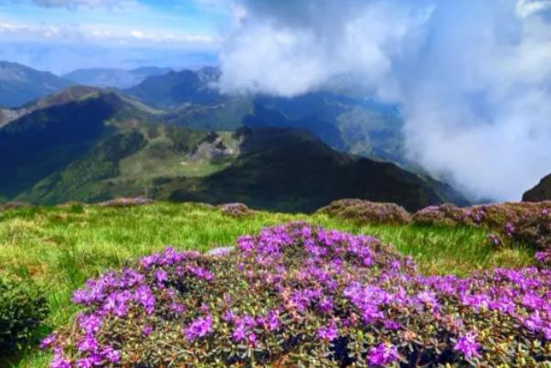 2024云南轿子雪山最佳旅游时间