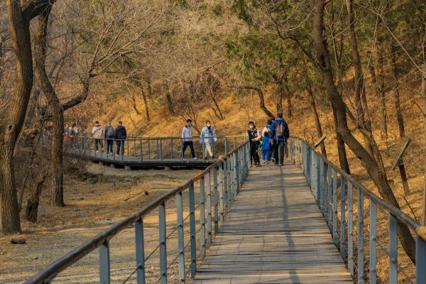 武汉汉秀剧场门票价格 附座位分布图