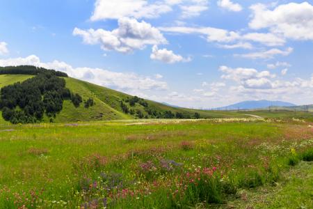 2024乌鲁木齐南山牧场门票多少钱