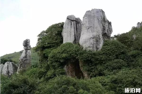 秋季阿西里西大草原旅游攻略