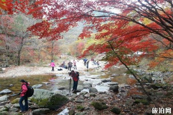 丹東賞楓葉什么時候最好 丹東哪里適合賞秋