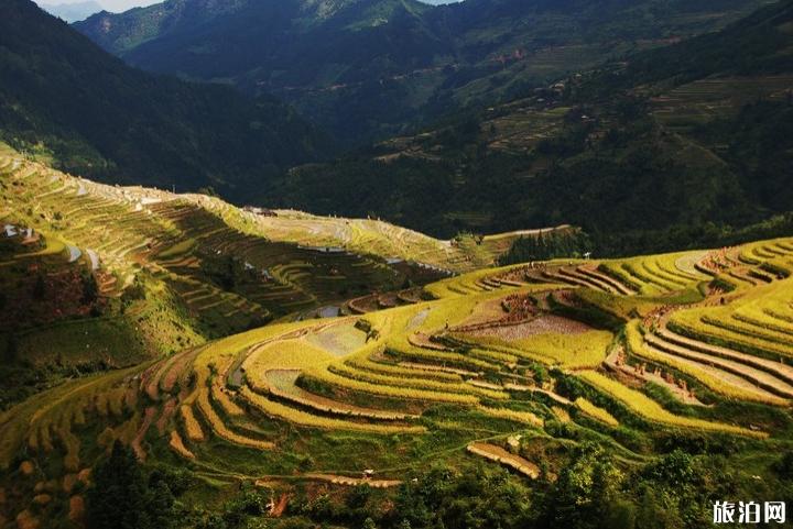 贵州秋天旅游景点推荐 威宁草海最佳旅游时间