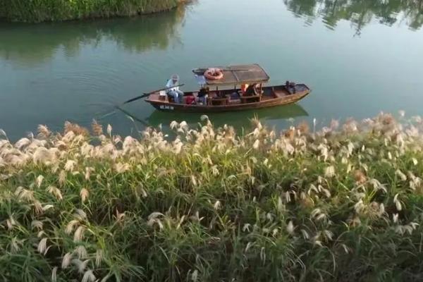 杭州哪些地方有芦苇荡